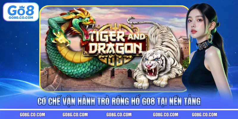 Cơ chế vận hành trò Rồng Hổ GO8 tại nền tảng